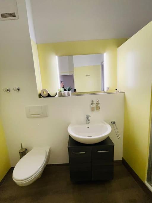 Fewo 20 - Appartement Im Rottalblick - Youngmodern Wohnen Mit Bademantelgang Zur Therme, Tv, Balkon Und Persoenlichem Gaesteempfang Von Astarte Estate Bad Griesbach  Buitenkant foto